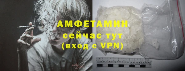 ГАЛЛЮЦИНОГЕННЫЕ ГРИБЫ Аркадак