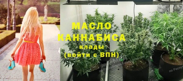 ГАЛЛЮЦИНОГЕННЫЕ ГРИБЫ Аркадак