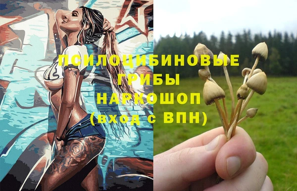 ГАЛЛЮЦИНОГЕННЫЕ ГРИБЫ Аркадак